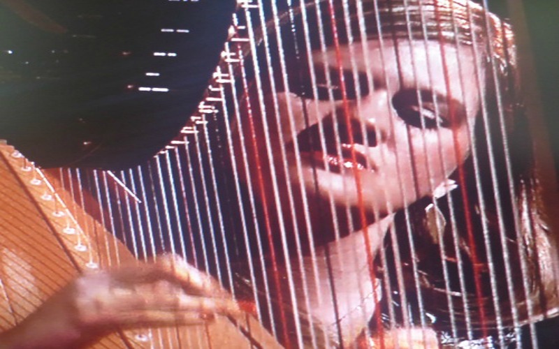 Mary Lattimore For Scott Kelly, Returned To Earth