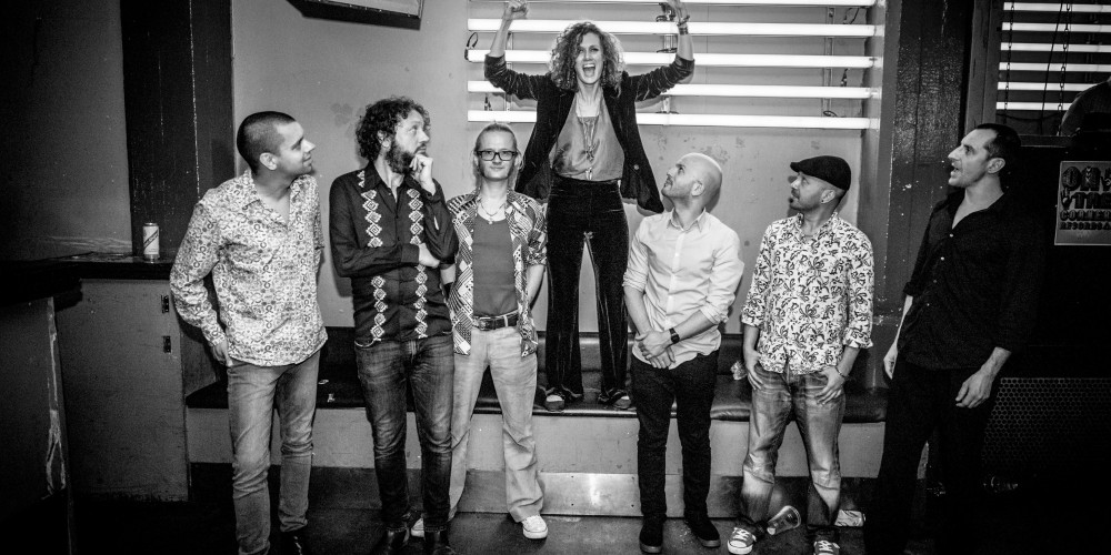 Collocutor's, 'The Search' LP