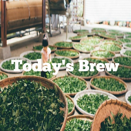 New playlist: Today's Brew