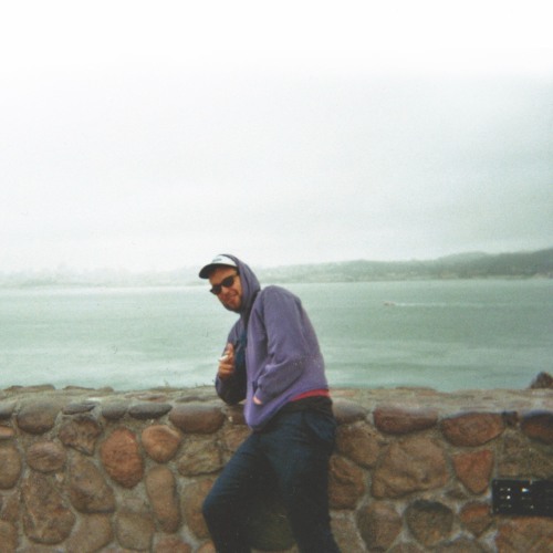 Max Graef - Purpurner Nürnwurz