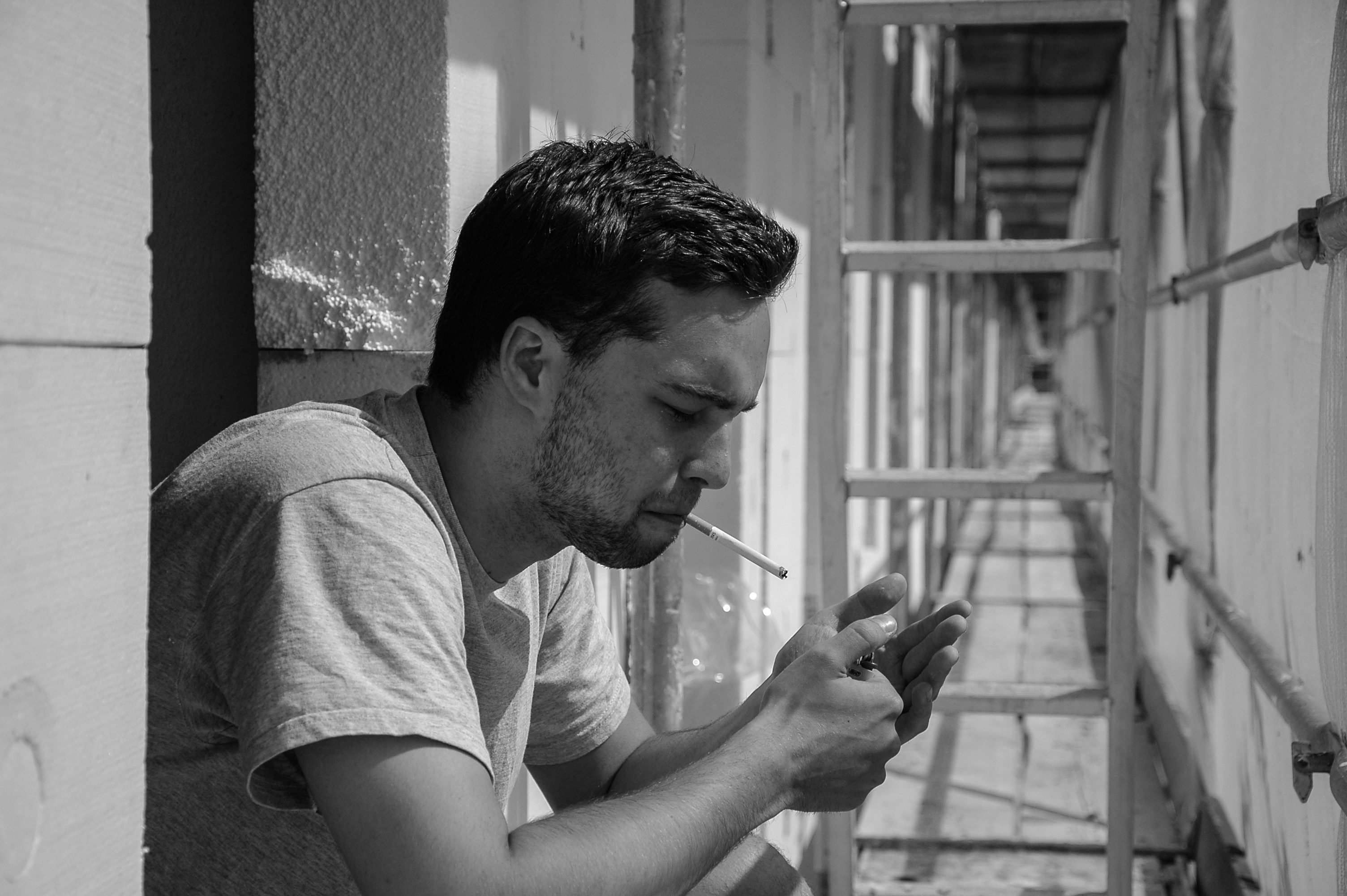 Max Graef -'Purpurner Nürnwurz' 