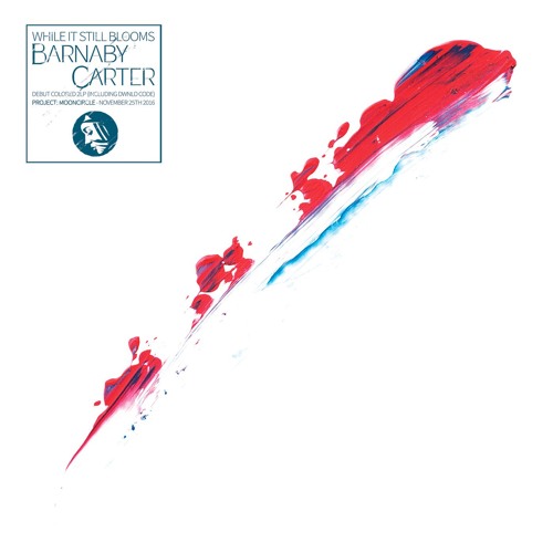 Barnaby Carter - Cold Weather Warm Soul (While It Still Blooms