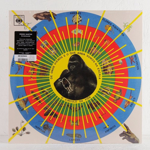 Pedro Santos - Krishnanda