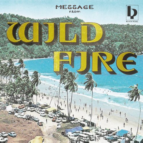 WILD FIRE • "Check It Out" / "The Dealer"