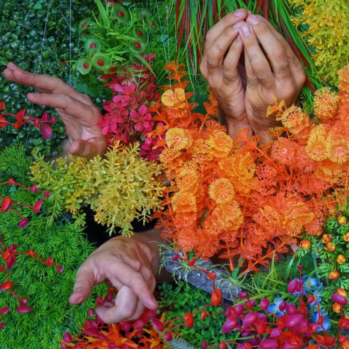 Blood Wine Or Honey - Anxious Party People