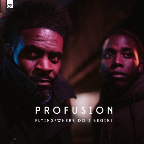 Profusion - Flying : Where Do I Begin?