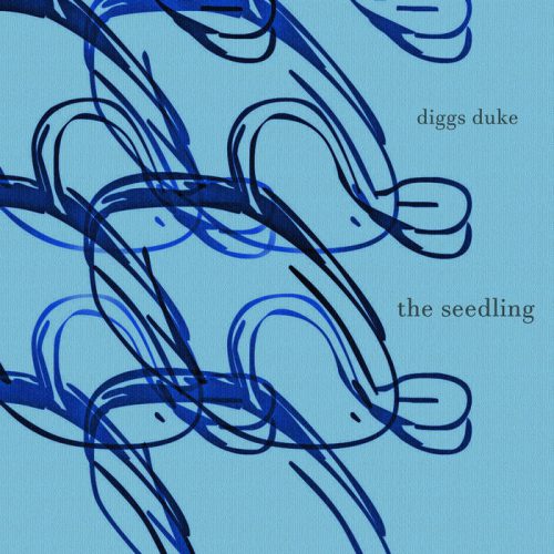 Diggs Duke - The Seeding