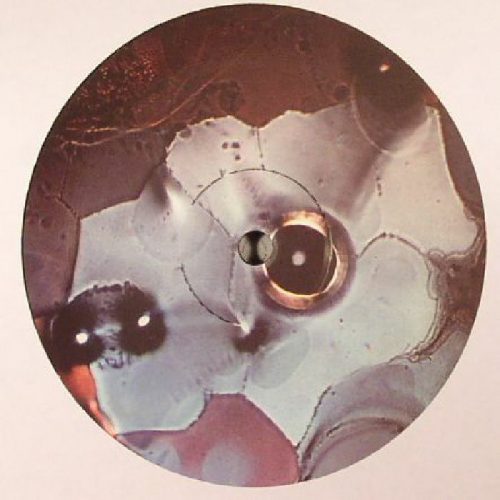 Atsushi Yano - Rottie Bites