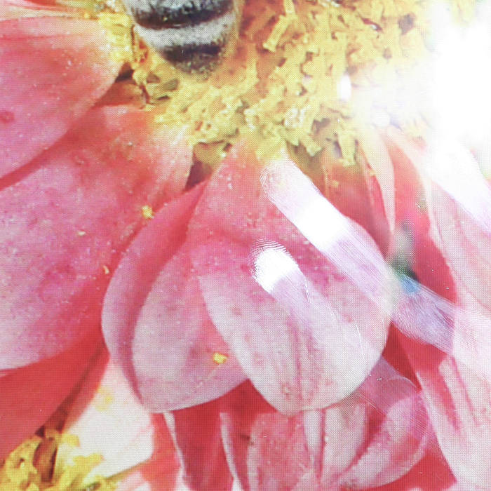 Calling Out (Feat. Philip Owusu)