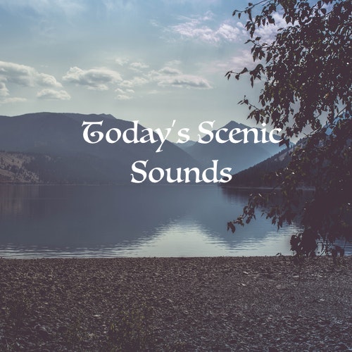 Today's Scenic Sounds