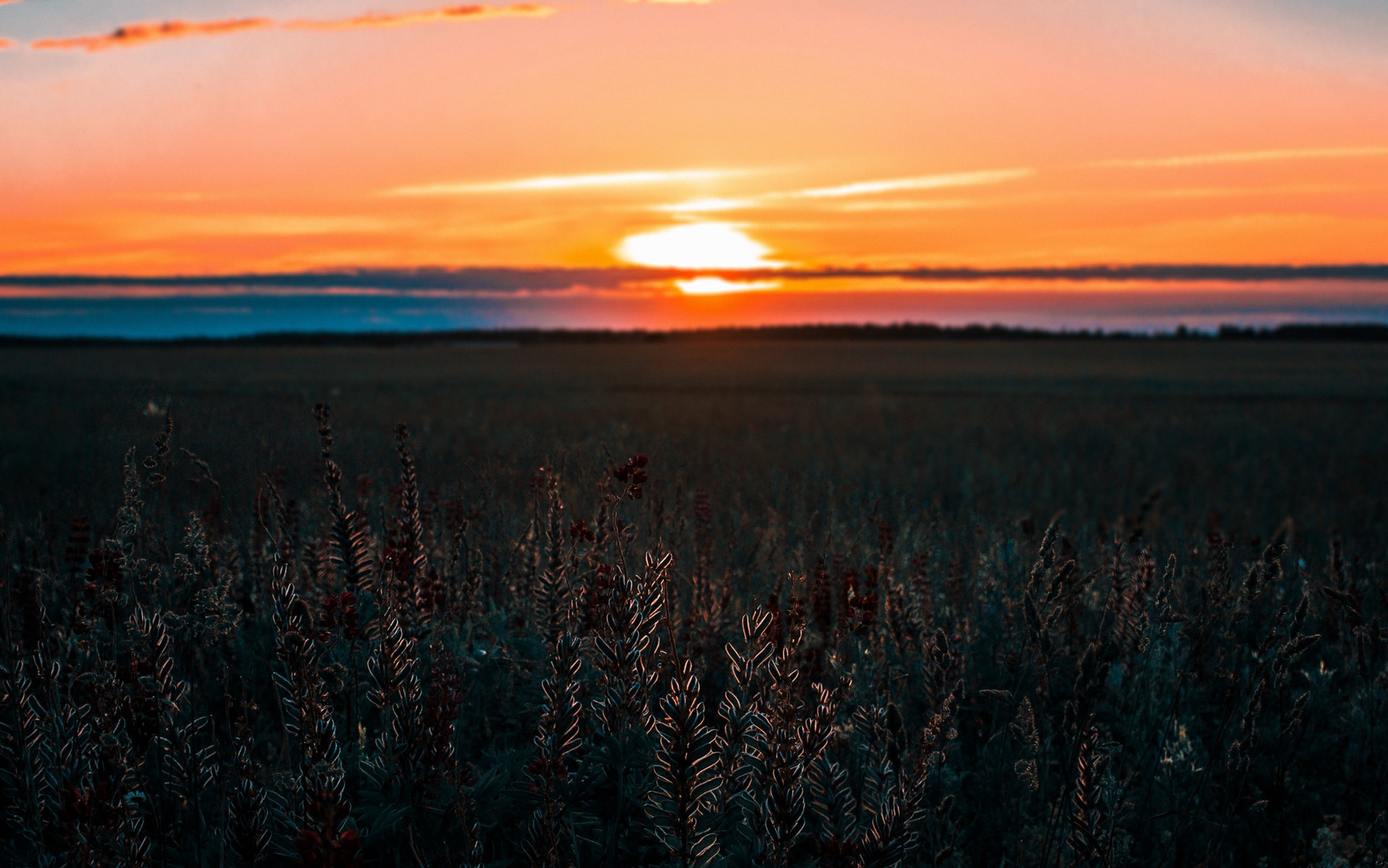 Monday Mixtape #164