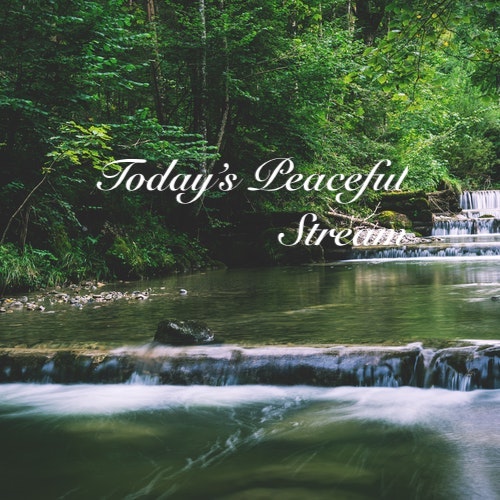 Playlist: Today's Peaceful Stream