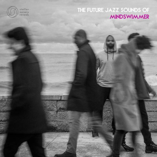 mindswimmer - the future jazz sounds of mindswimmer