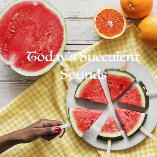 Today's Succulent Sounds
