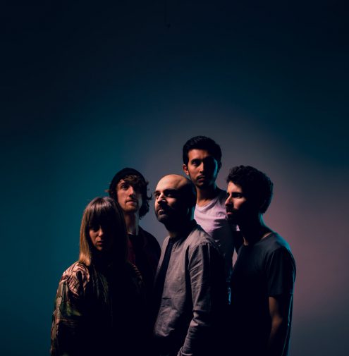 Twistedsoul - Kinkajous