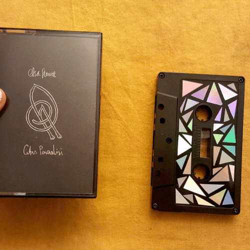 Album Artwork for Citrus Paradisi