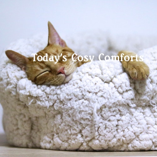 Playlist: Today's Cosy Comforts