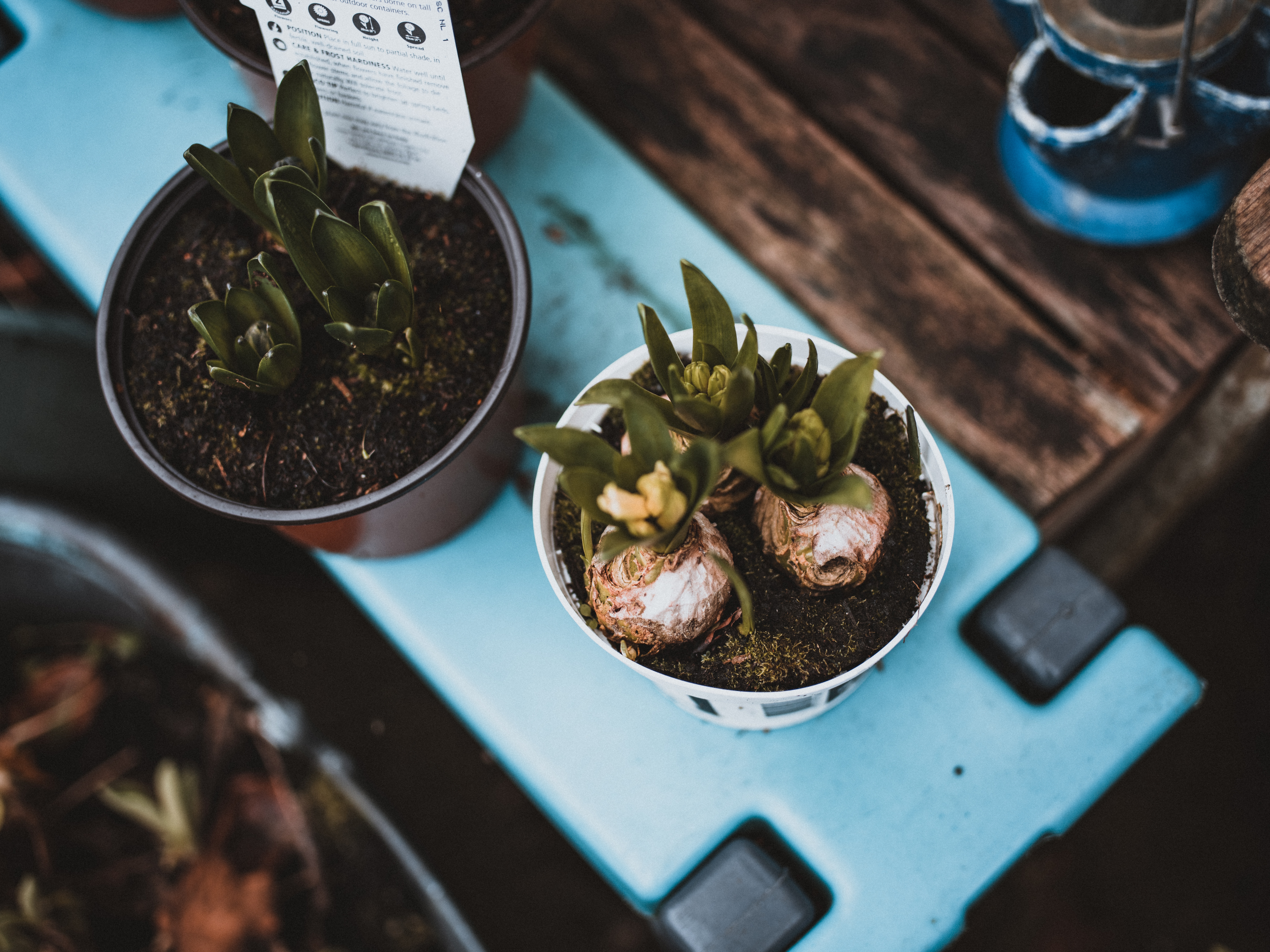 Twistedsoul Monday Mix #206