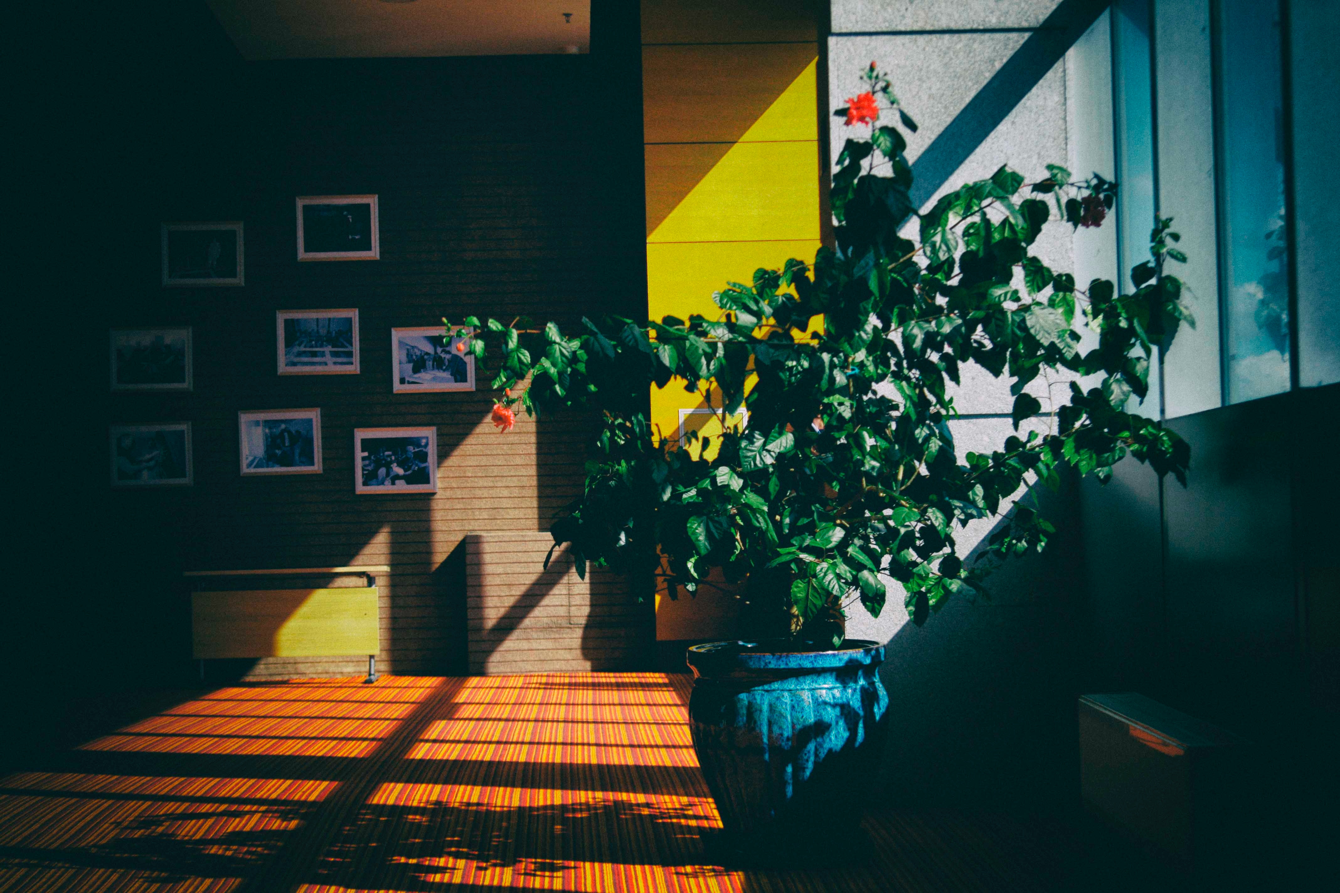 Twistedsoul Monday Mix #213