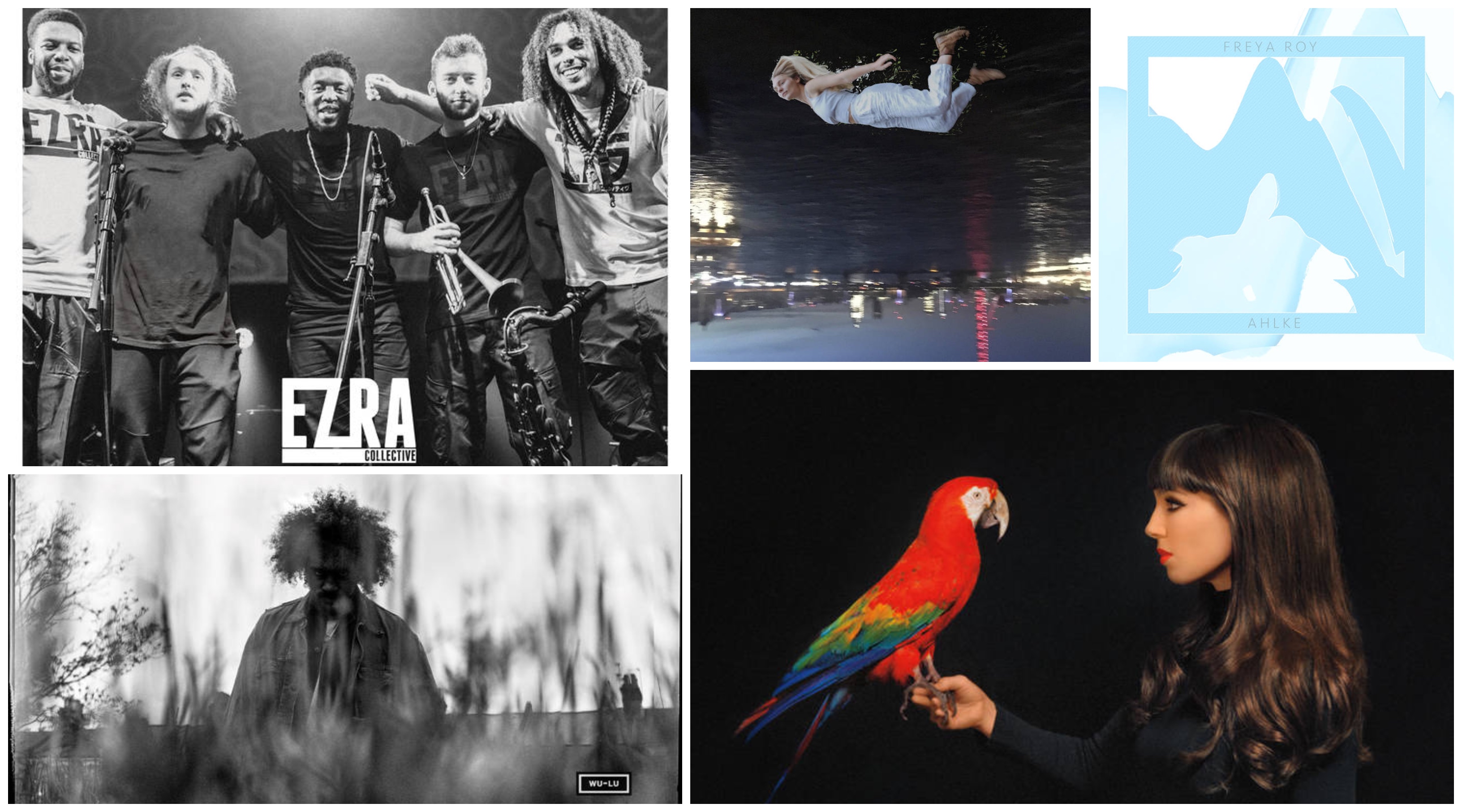 Crucial albums you need to hear!