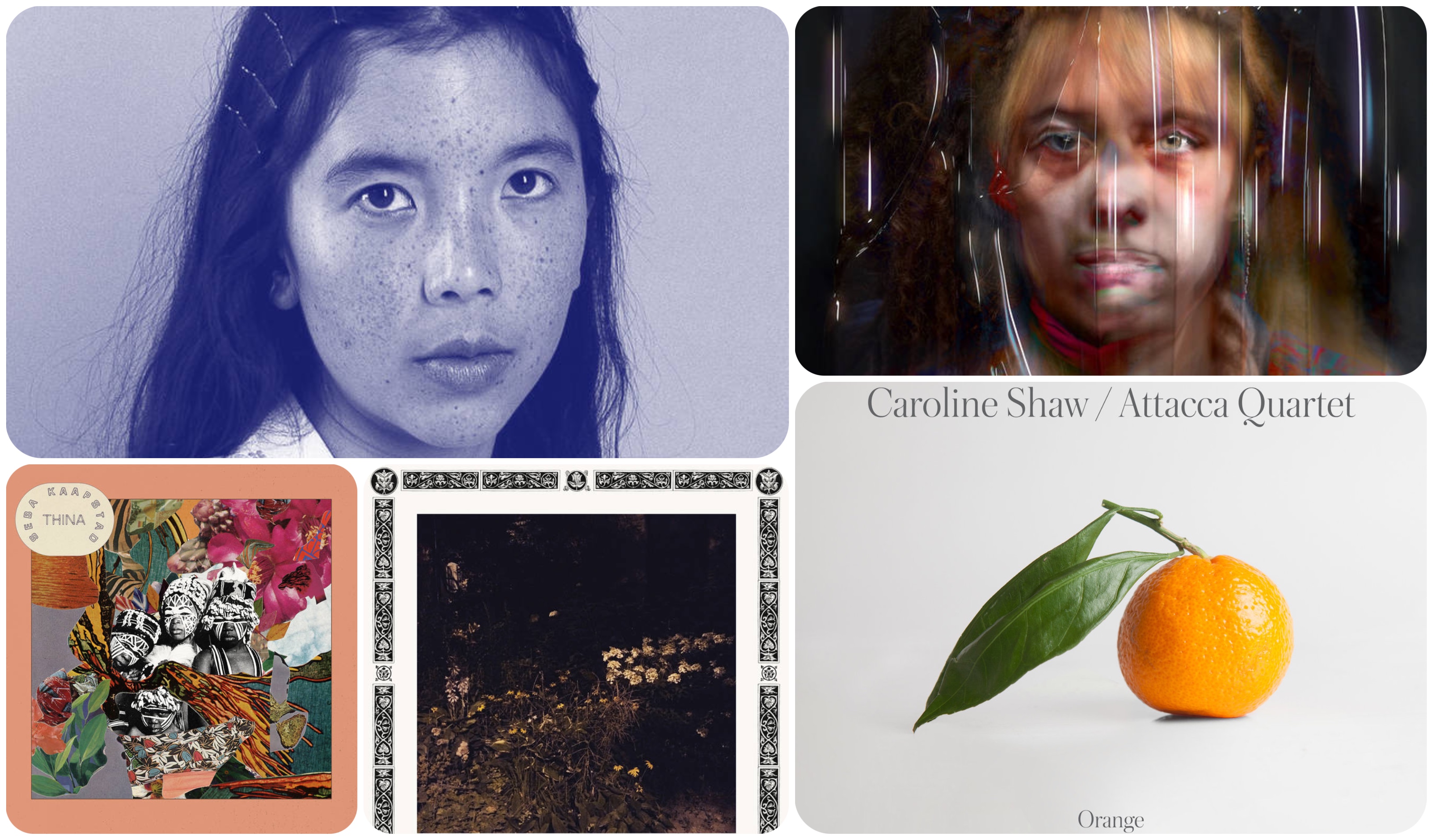 Between The Cracks: 5 New You May Have Missed.