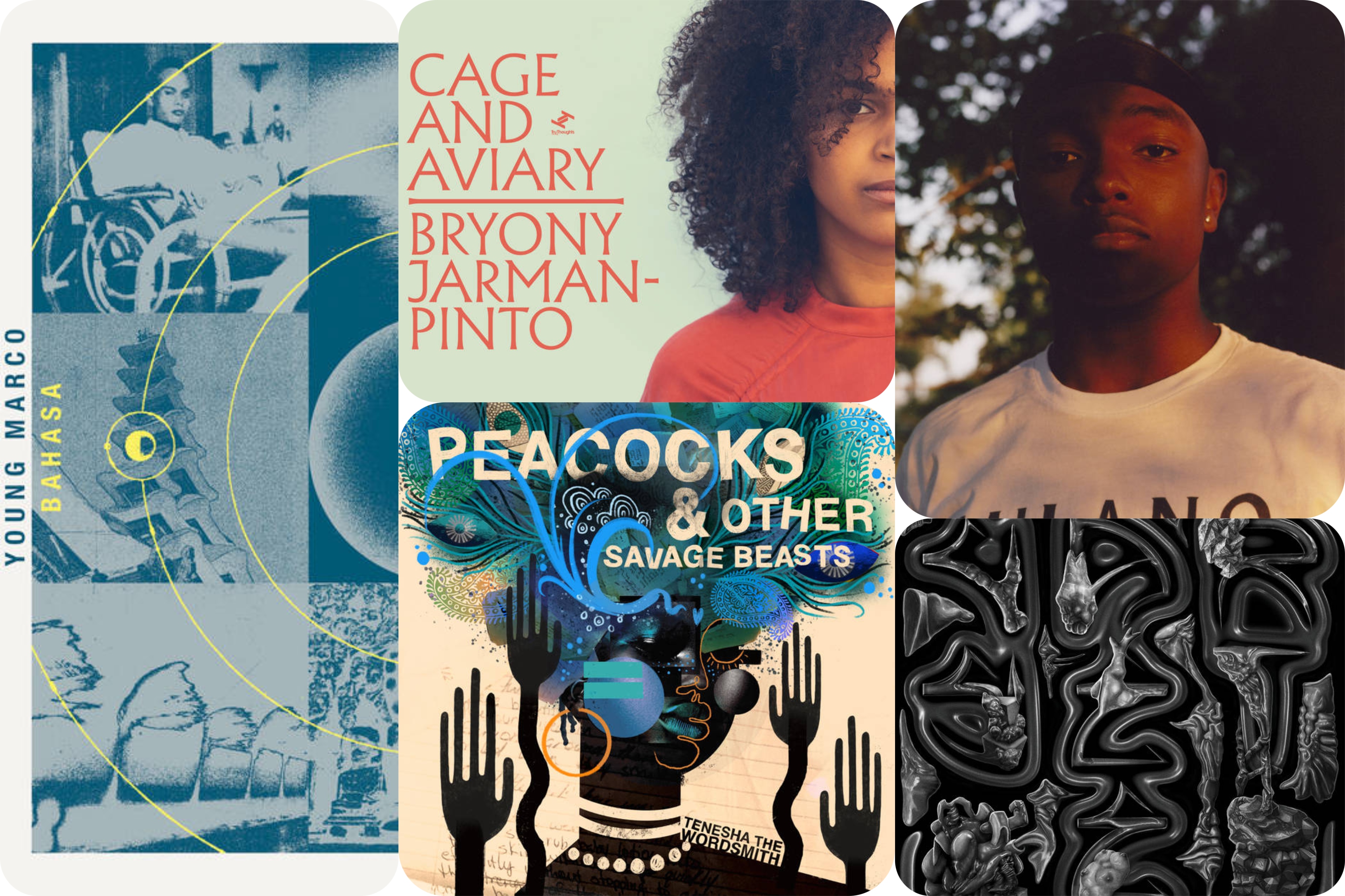 Between The Cracks: 5 New Releases You Need To Hear.
