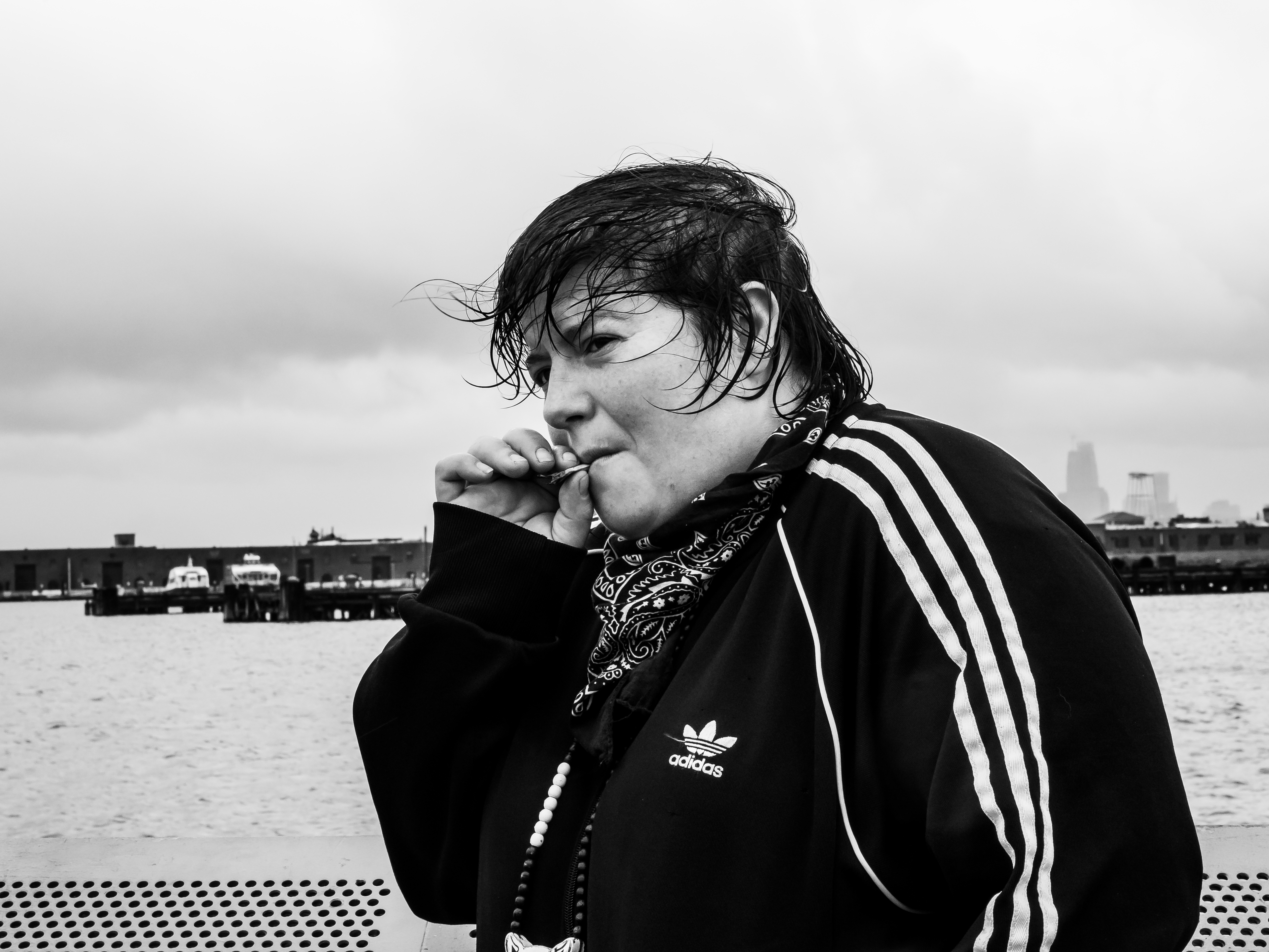 Jaimie Branch - FLY or DIE II: bird dogs of paradise