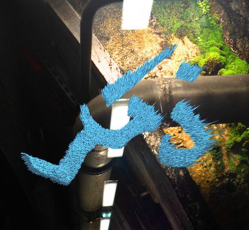 Dhakar by Deena Abdelwahed.