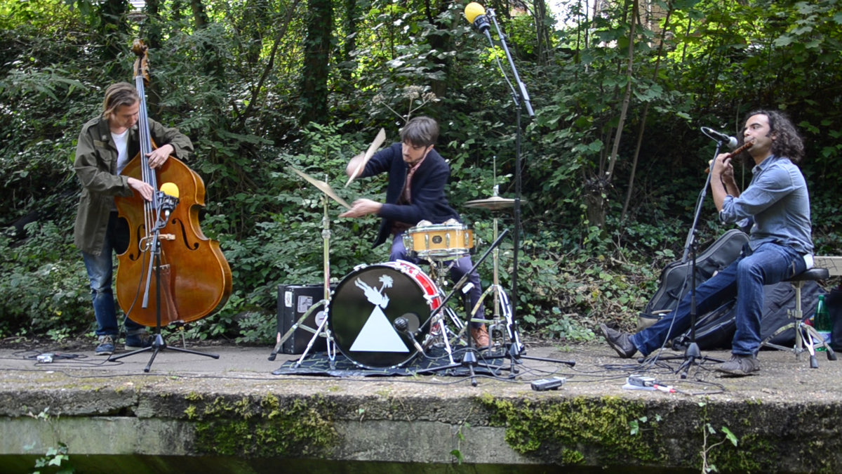 New music from London trio WILDFLOWER.