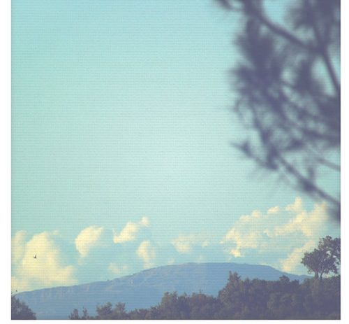 Timecuts - Luis Miehlich review.