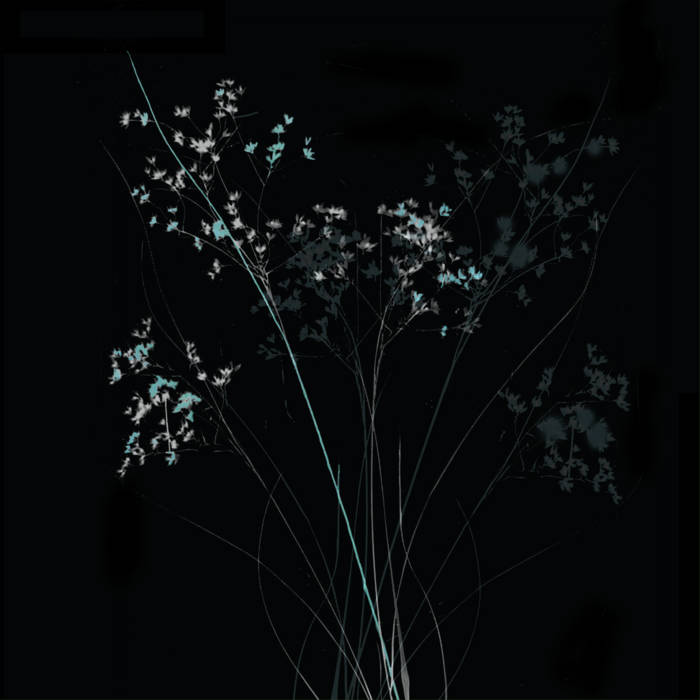 Retrograde by Maria Chiara Argirò + Jamie Leeming