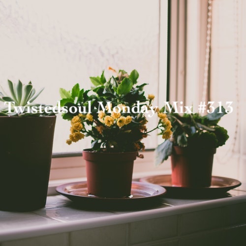 Twistedsoul Monday Mix #313.