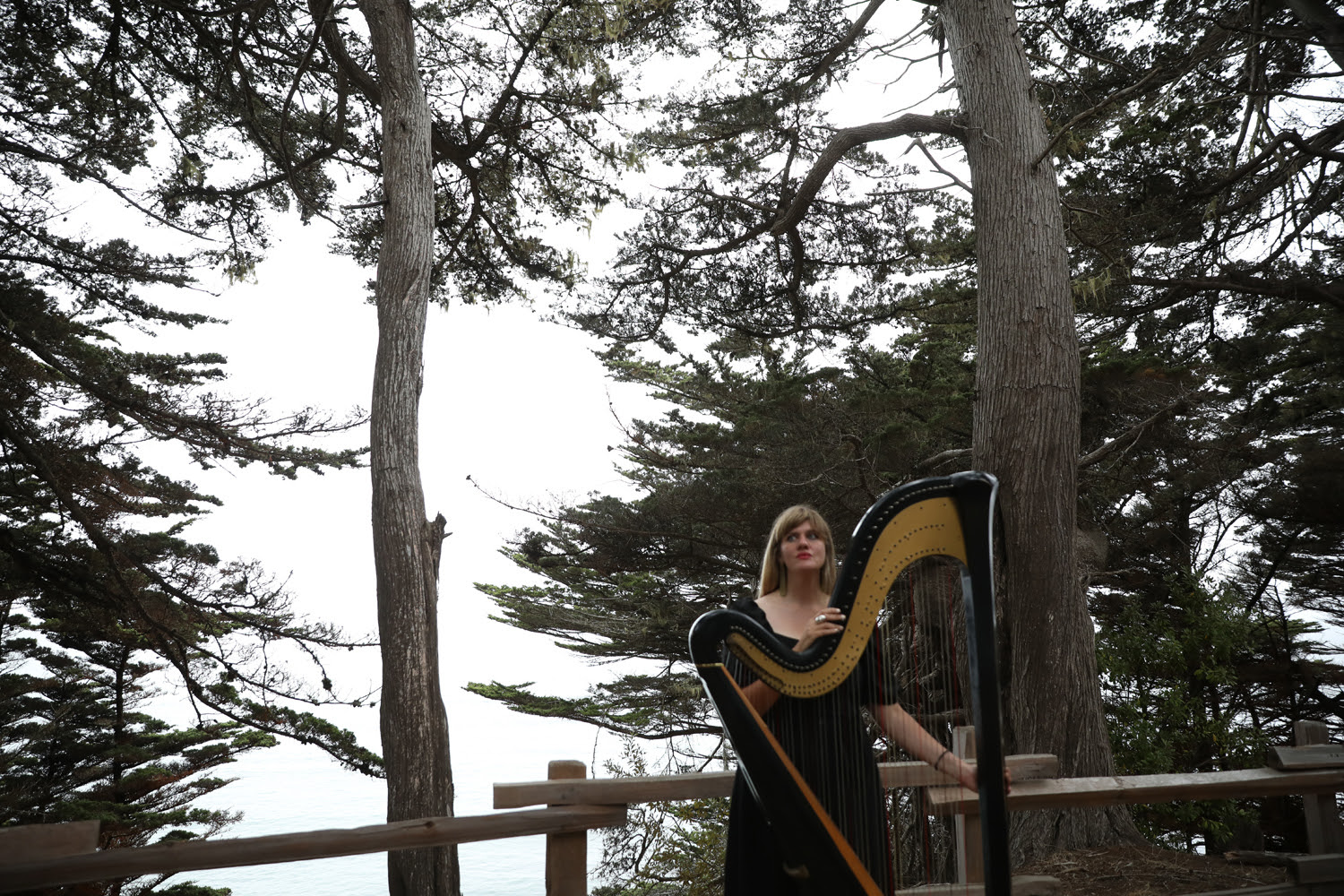  Mary Lattimore.